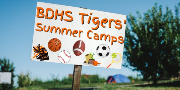 Tiger Sports Summer Camps