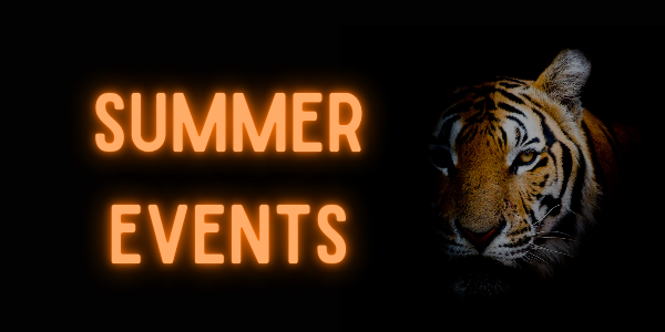 Orange words Summer Events with Tiger on a black background
